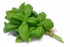 sirop-chernika-monin.jpg