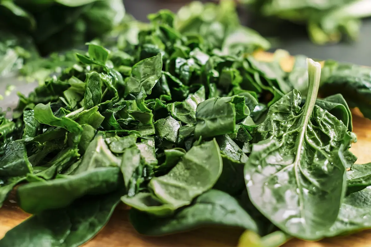 блюда из щавеля