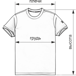 polo-01-300_1766783243537-1766783247684.png polo-01-300_1766783243537-1766783247684.png