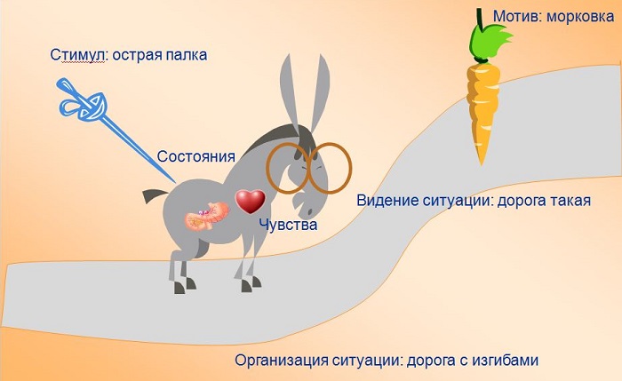 что двигает людей