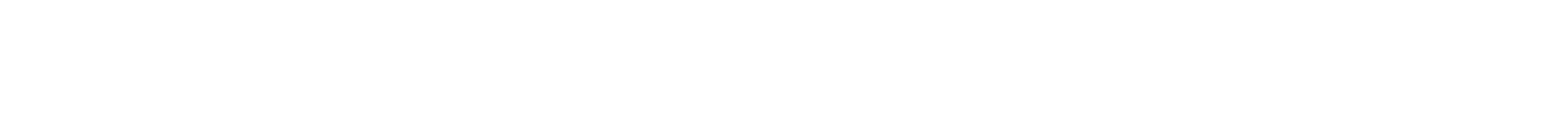 Об авторах