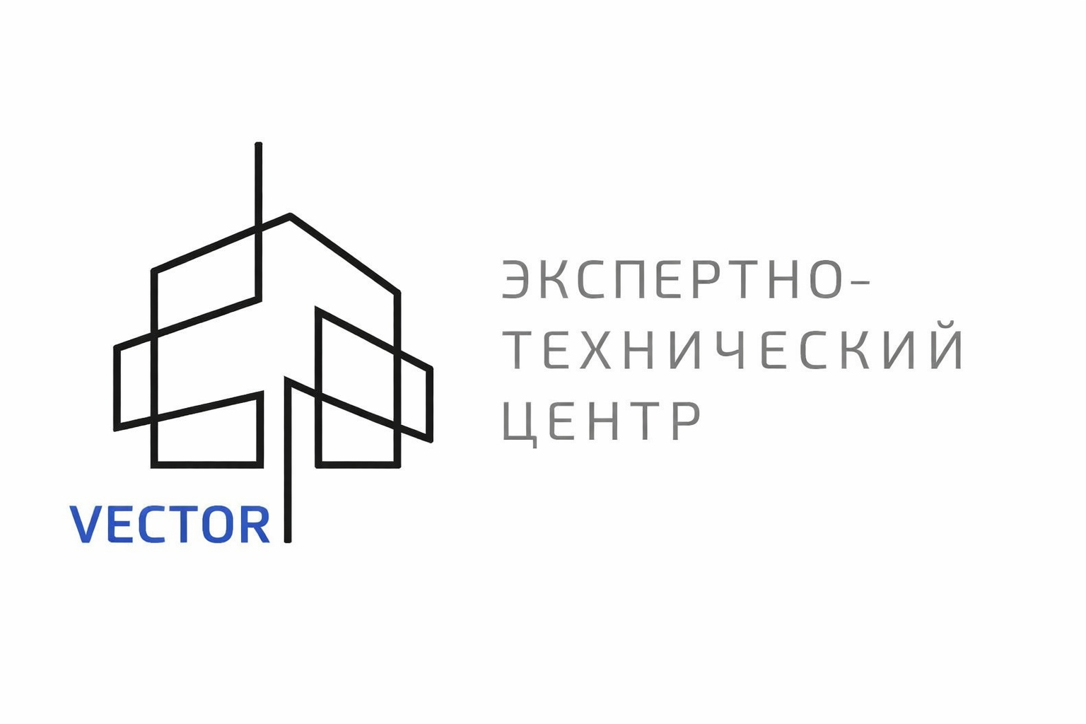 Vector