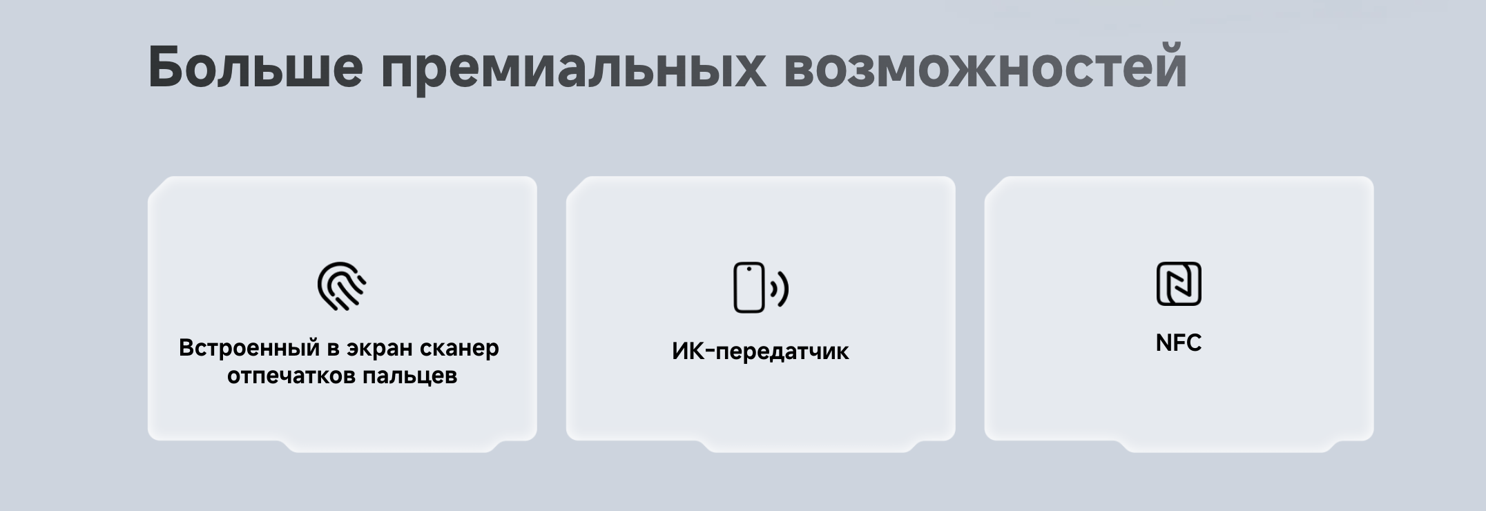 19.png