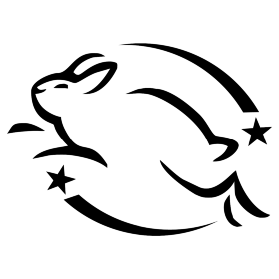«Прыгающий кролик» 4.png
