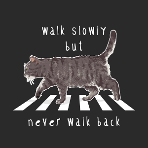Принт с котом Walk slowly