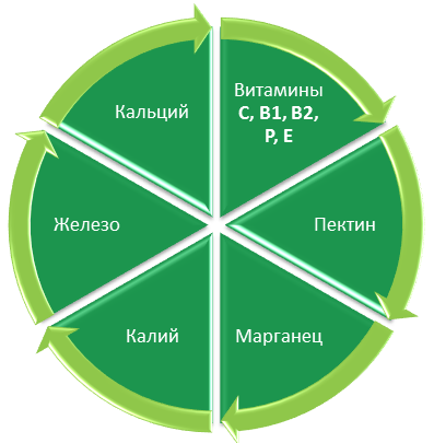 11_Sokovyzhimalka_dlia_yablok_1.png