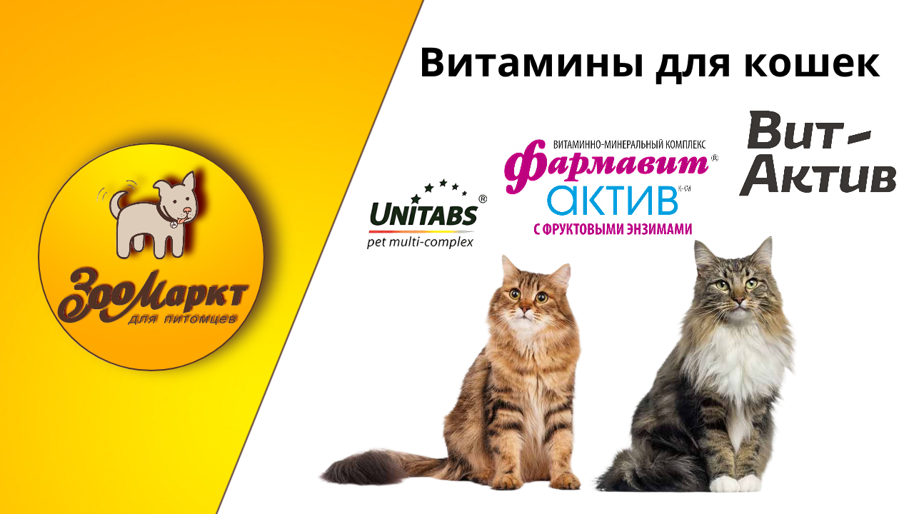 Зачем нужно ухаживать за шерстью кошек, (20) Зачем нужно ухаживать за шерстью кошек, (20).png