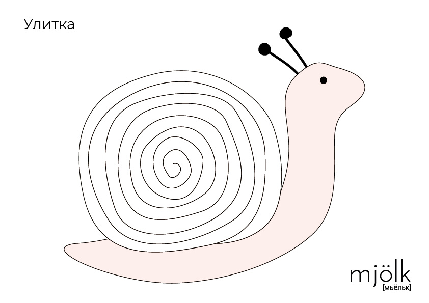 улитка.jpg улитка.jpg