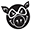 pig