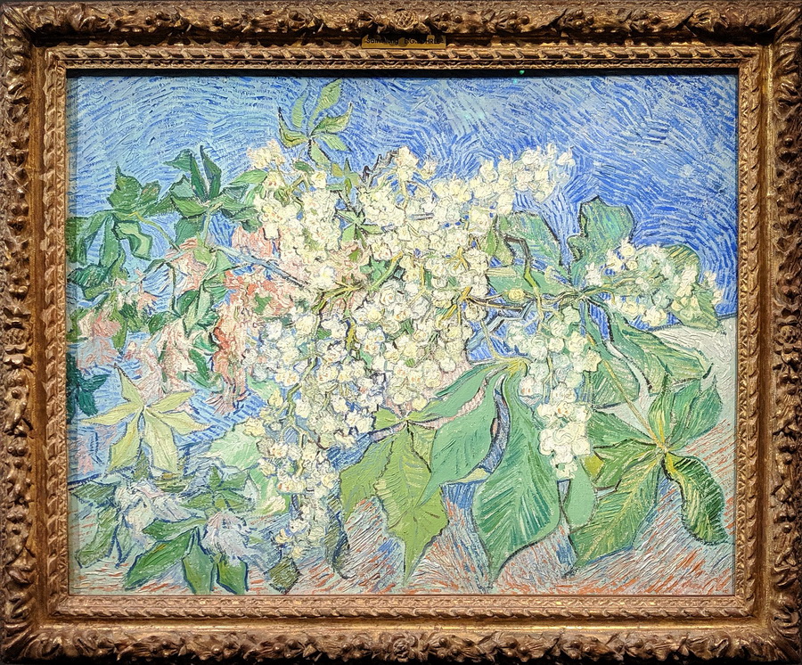 Ван Гог "Цветущие ветки каштана" Van_Gogh_Blossoming_Chestnut_Branches.jpg