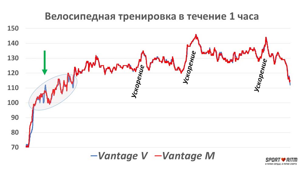 Сравнение Vantage V и Vantage M на велосипеде