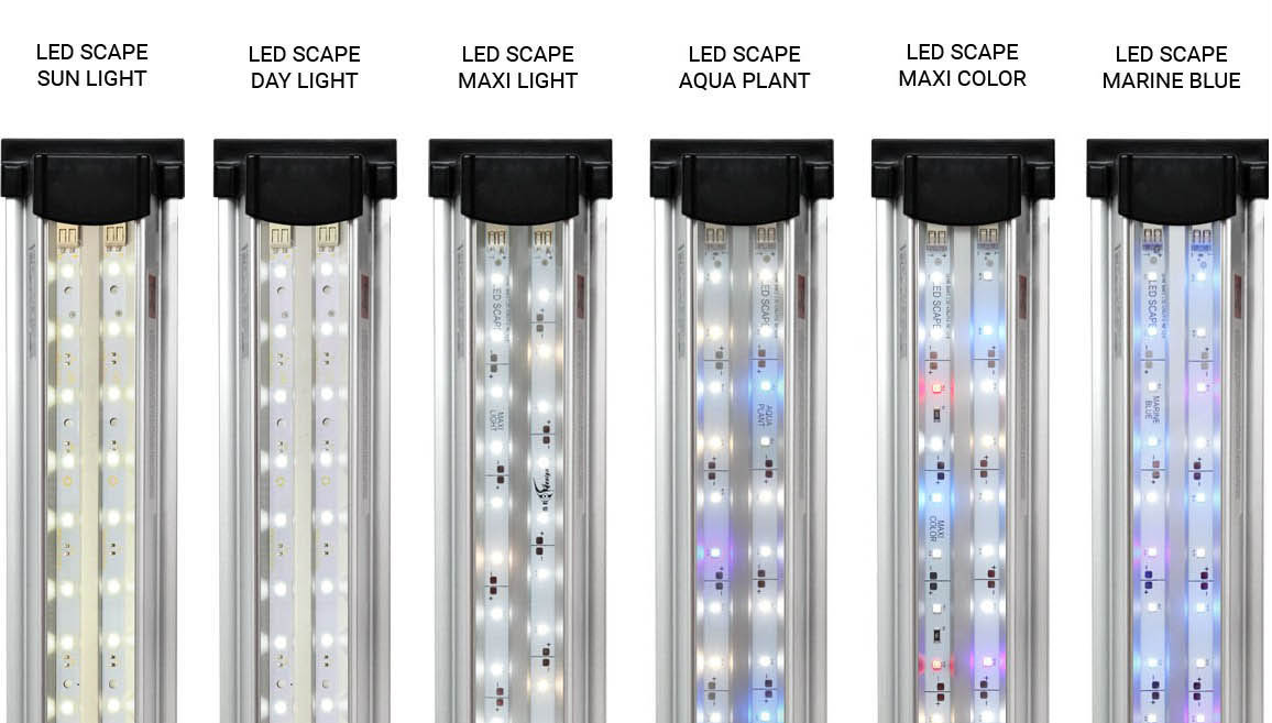 lamp-main-2 lamp-main-2 .jpg