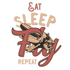 принт с самолетом Fly Repeat