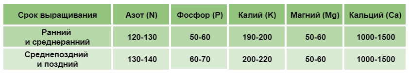 Оптимальное содержание основных элементов минерального питания в почве для цветной капусты (мг/дм3 )
