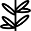 Ройбуш