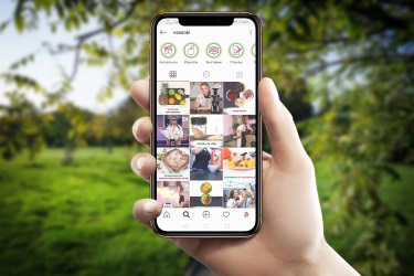 Компания &laquo;ВсеСоки&raquo; в Instagram