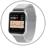 HWPRO5milansilver
