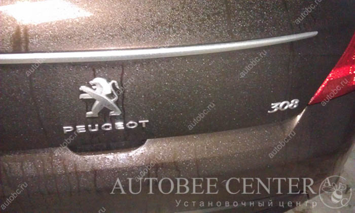 install-alarmsystem_Peugeot_308_2.jpg