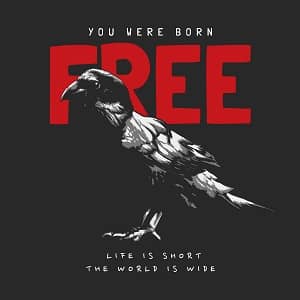 принт с вороном You were born free