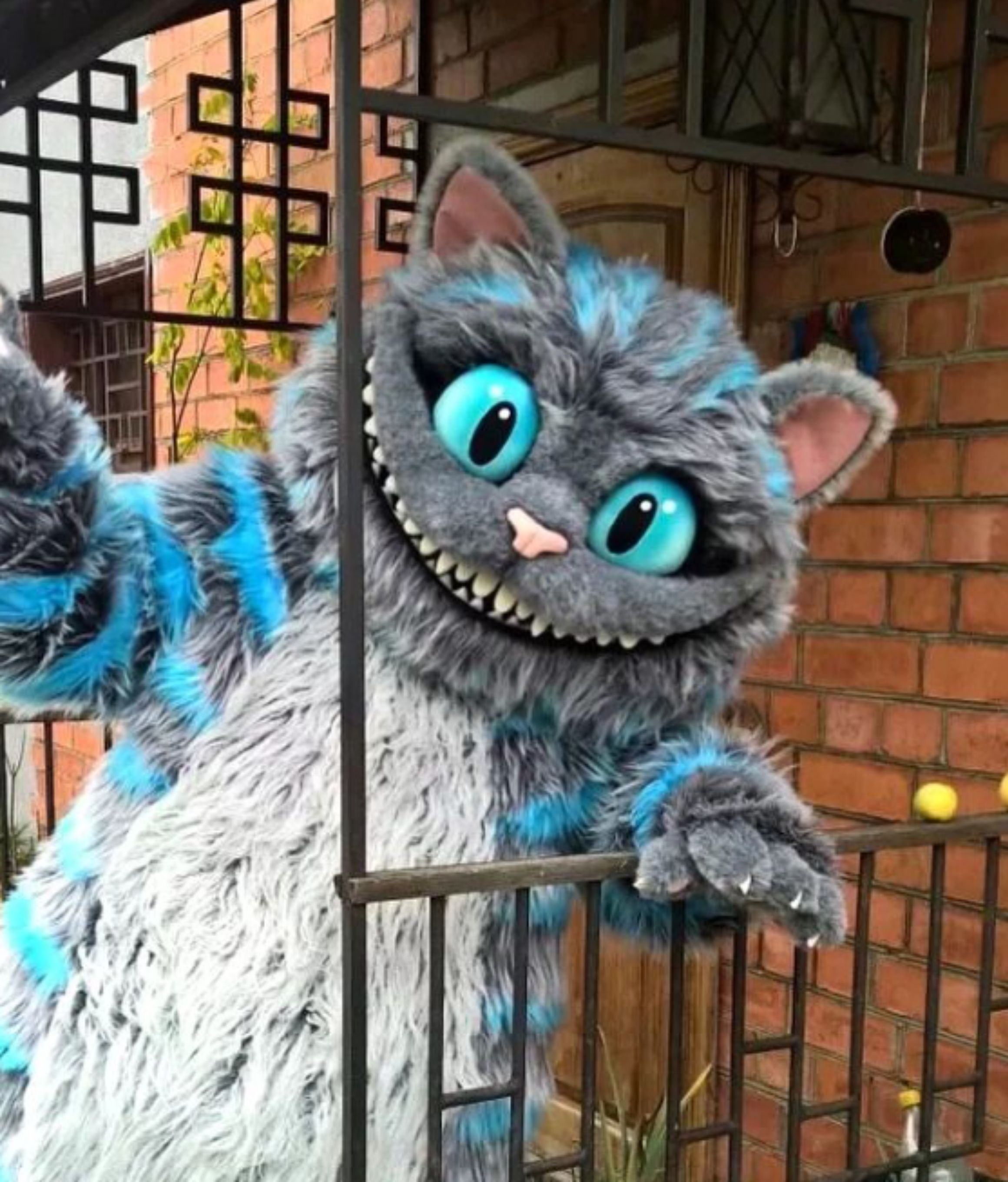 кот аниматоры Алматы кот аниматоры Алматы.jpg