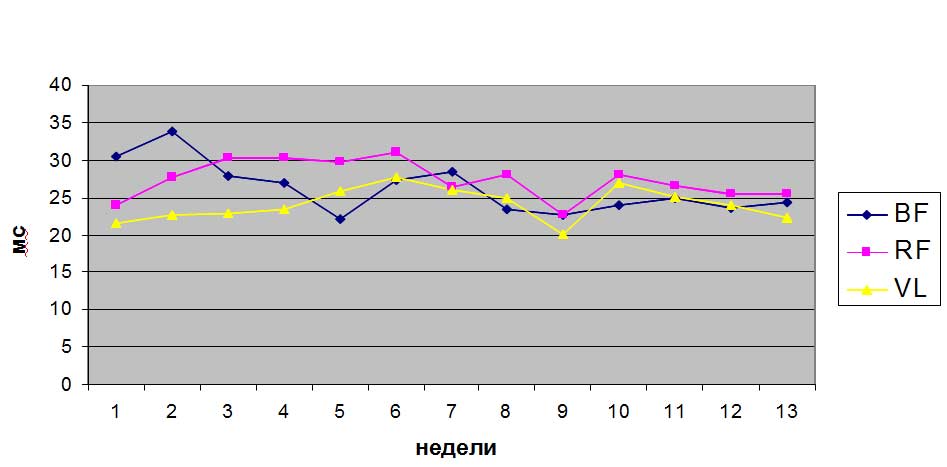 Система диагностики мышц Система диагностики мышц