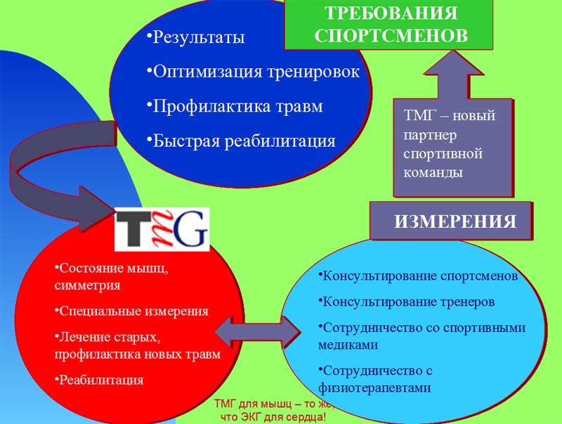 Система диагностики мышц Система диагностики мышц