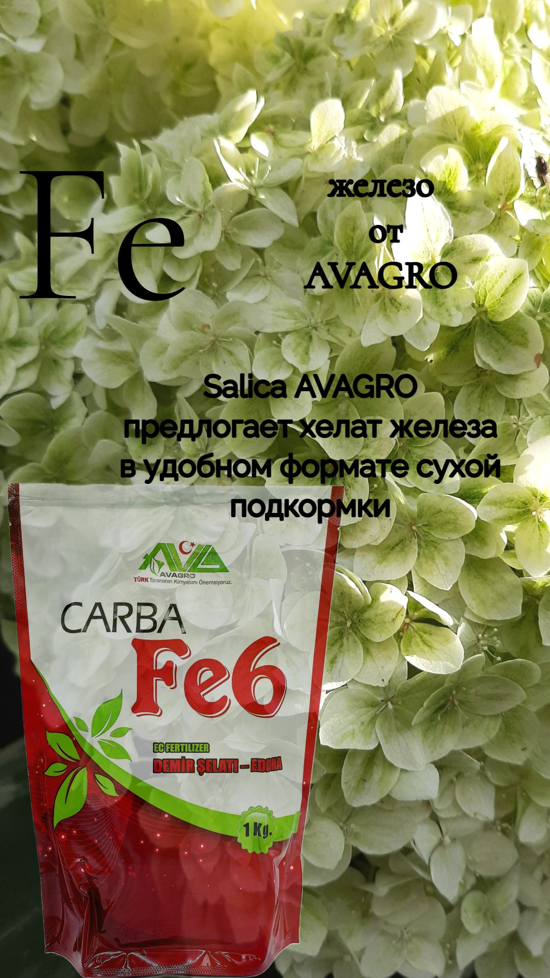 железо для растений