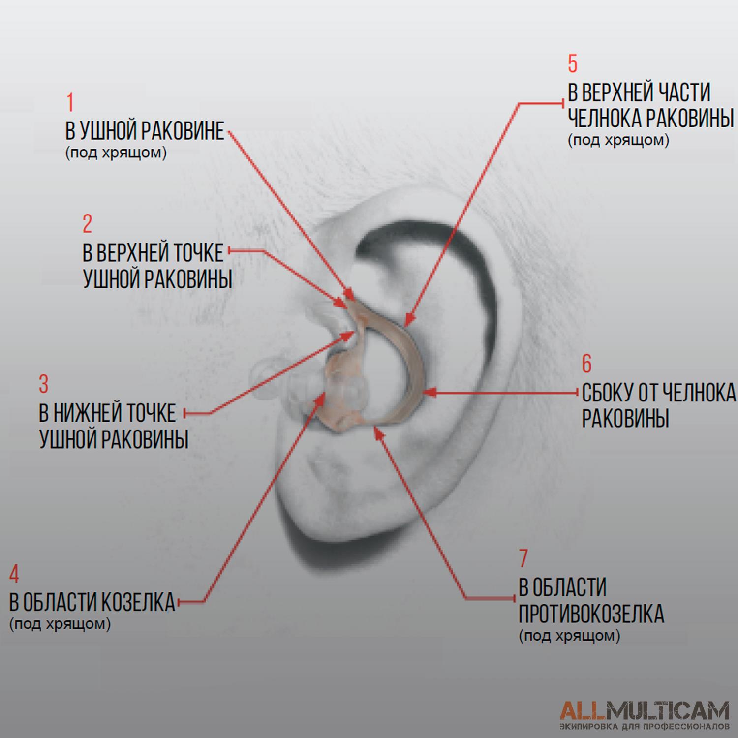 беруши Surefire EarPro Sonic Defenders