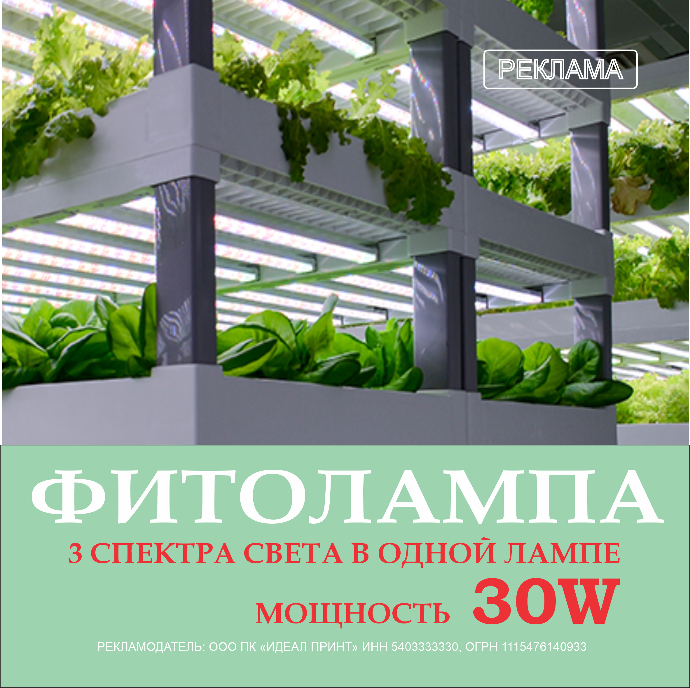 Фитолампа 3 в 1! 