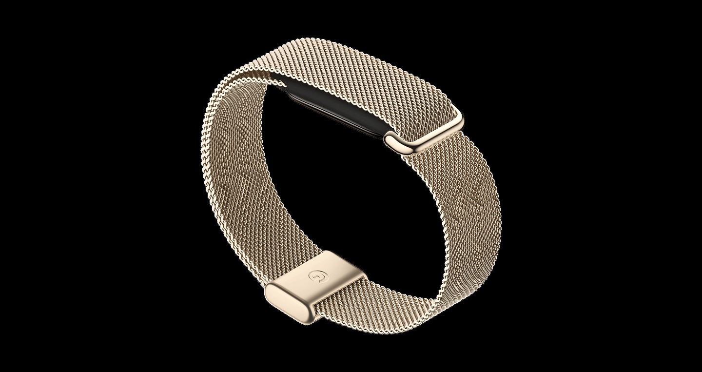 Google Fitbit Air с ремешком Metal Mesh Champagne Gold — официальное фото Google