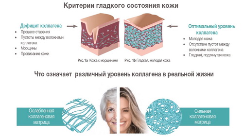 BioSil_Натуральный генератор коллагена