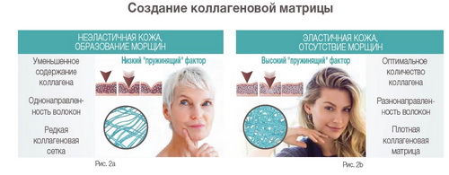 BioSil_Натуральный генератор коллагена
