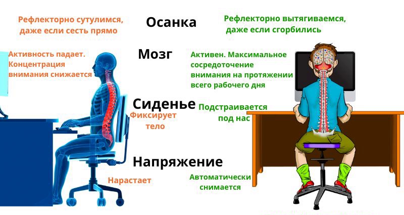 правильная осанка.jpg