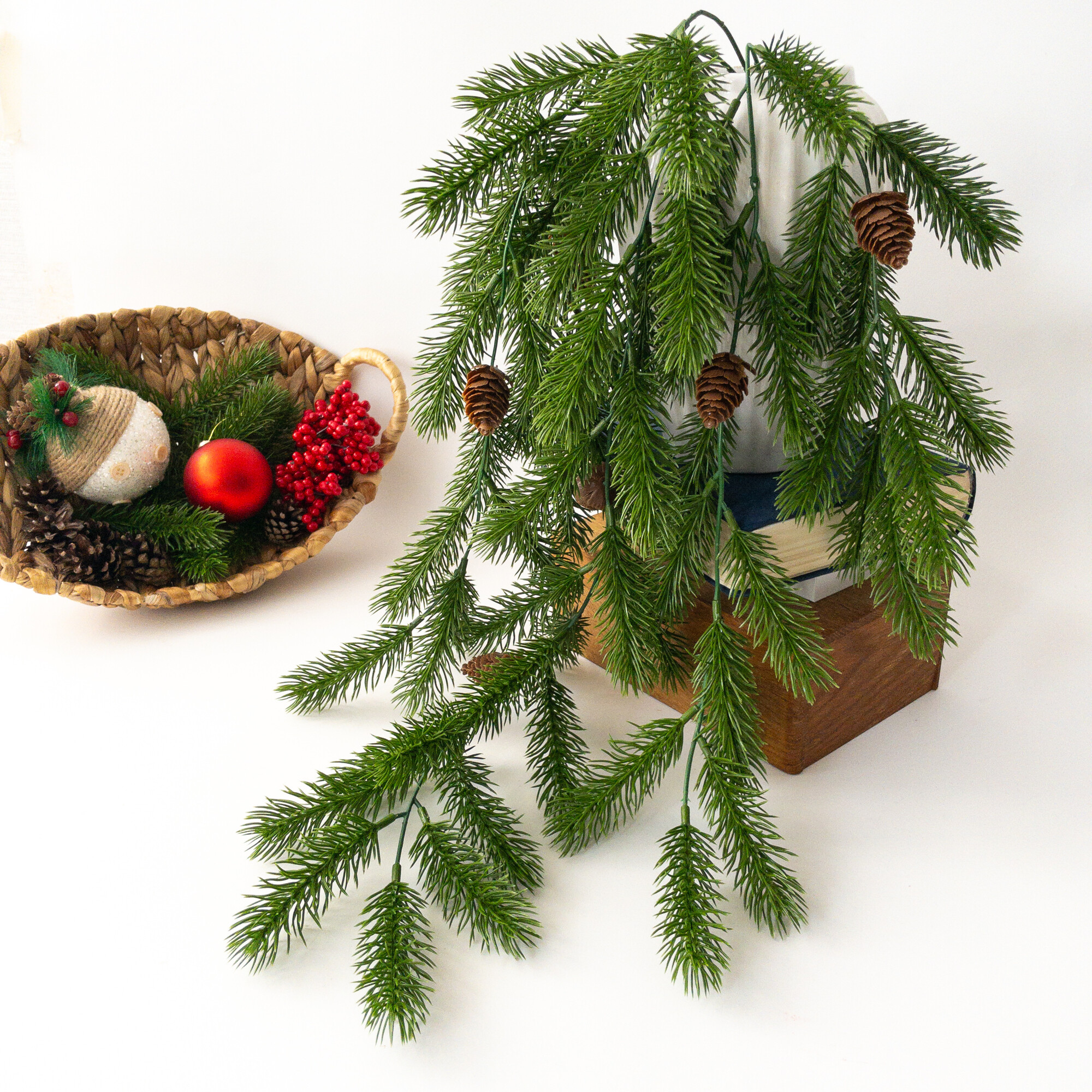 IMG_2418 (1) IMG_2418 (1).jpg