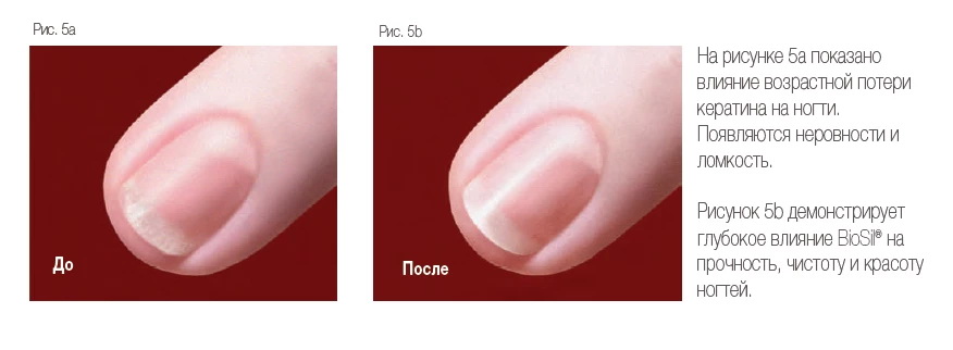 BioSil_Натуральный генератор коллагена
