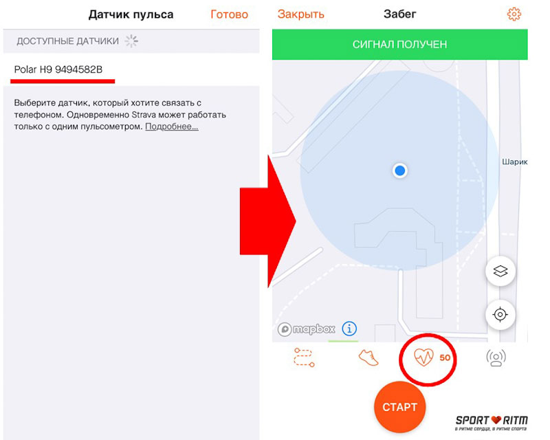 Синхронизация Polar H9 c Strava