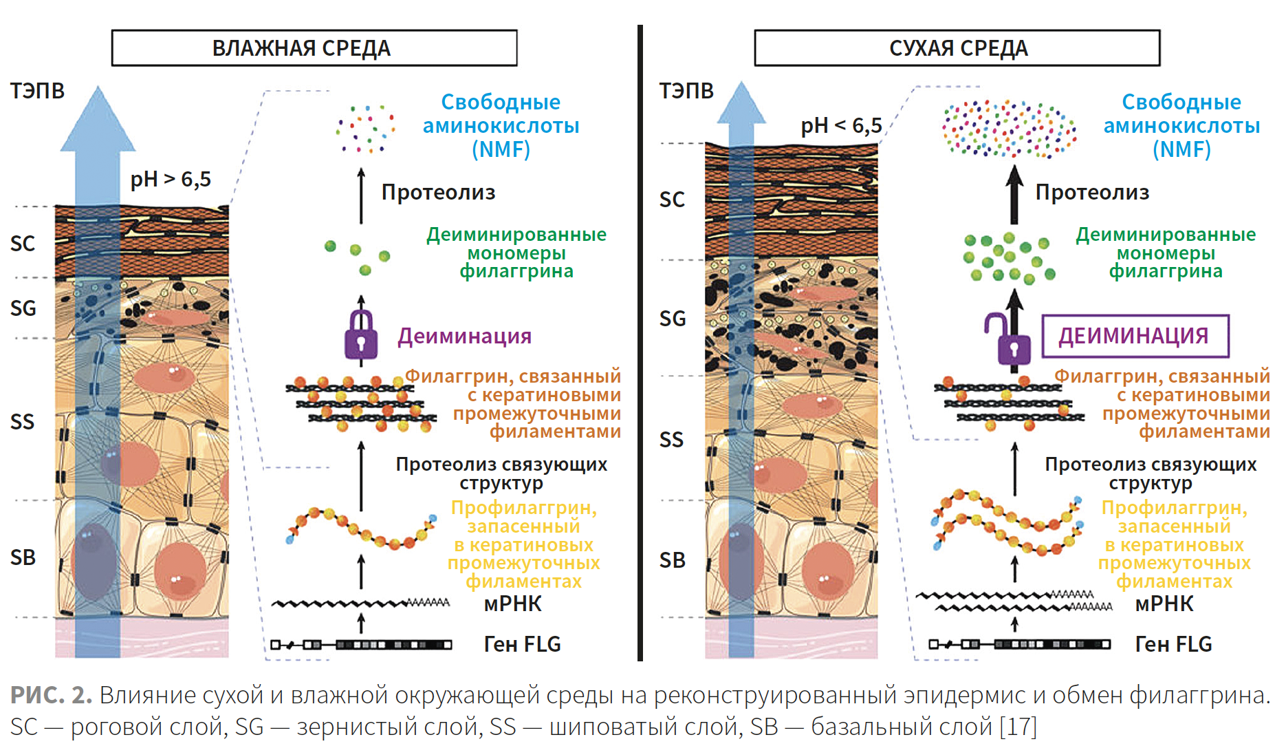 Рудева (ЭлмТри) КМ 2-2023 Рис 2 Рудева (ЭлмТри) КМ 2-2023 Рис 2.png