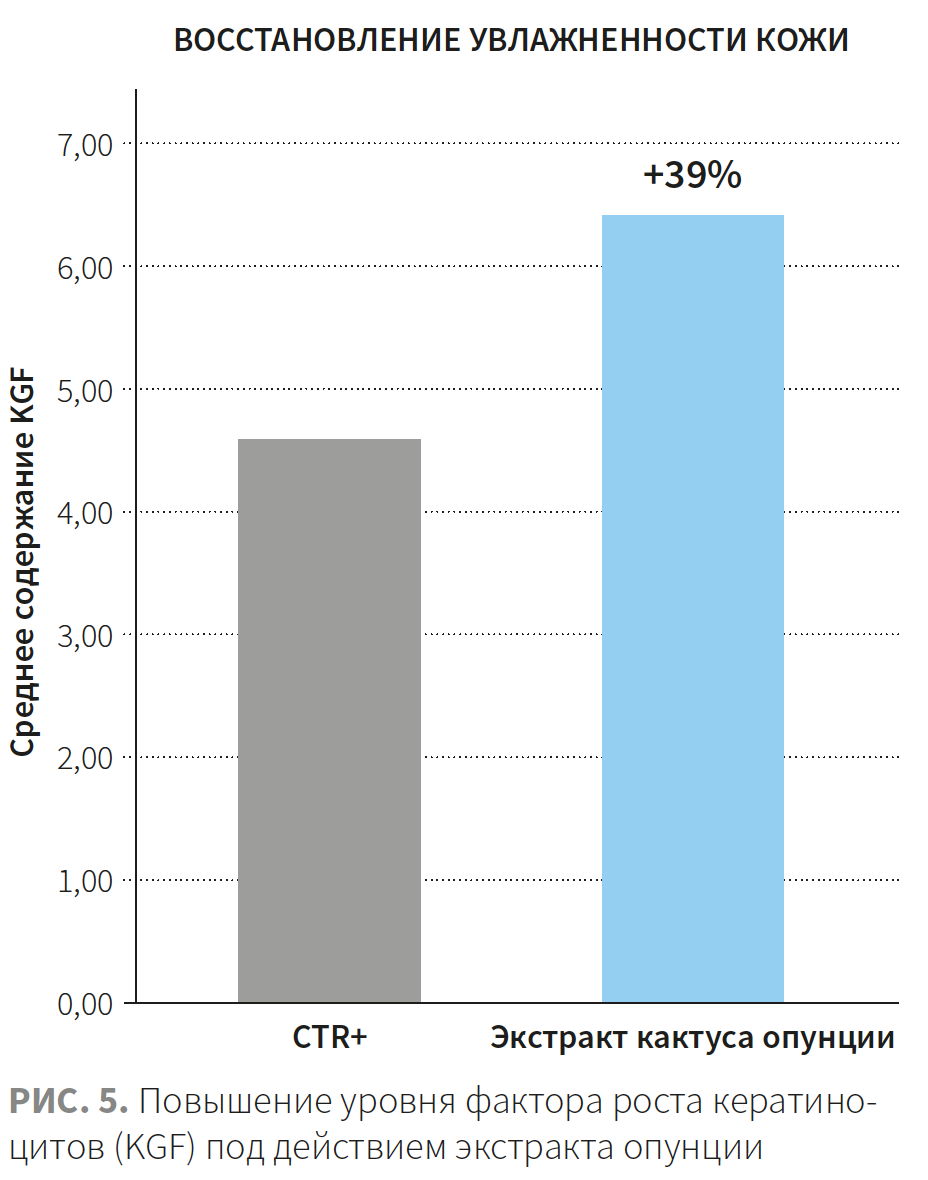 Рудева (ЭлмТри) КМ 2-2023 Рис 5 Рудева (ЭлмТри) КМ 2-2023 Рис 5.png
