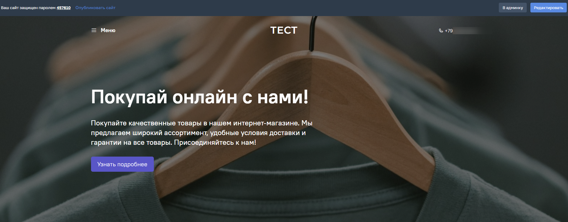Окно предпросмотра сайта