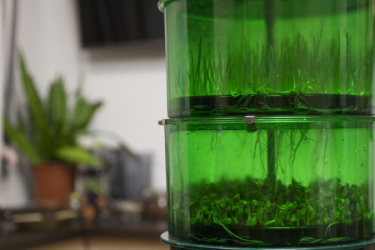 Автоматический проращиватель Tribest Freshlife FL-3000 с несколькими лотками