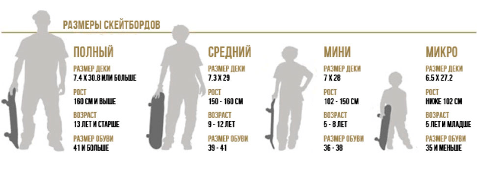 Размеры скейтбордов Размеры скейтбордов