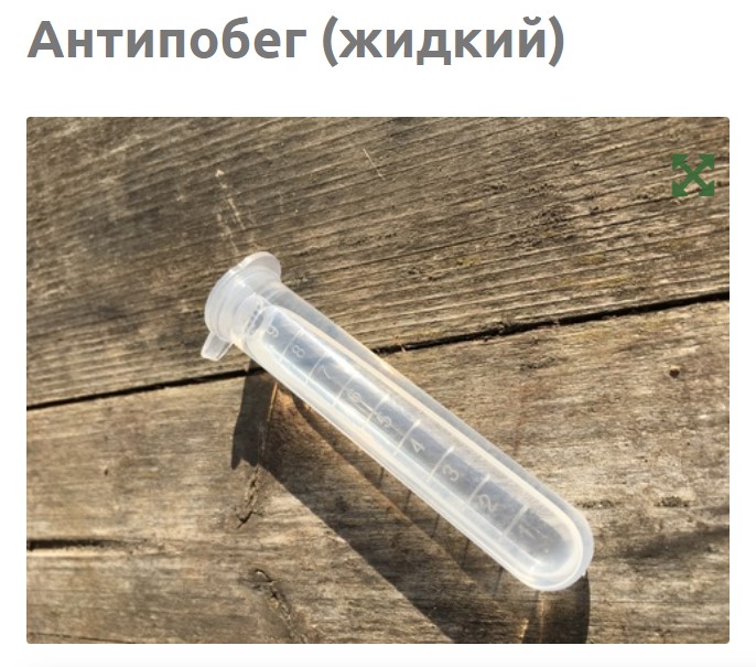 Антипобег для муравьев, что делать если муравьи сбежали