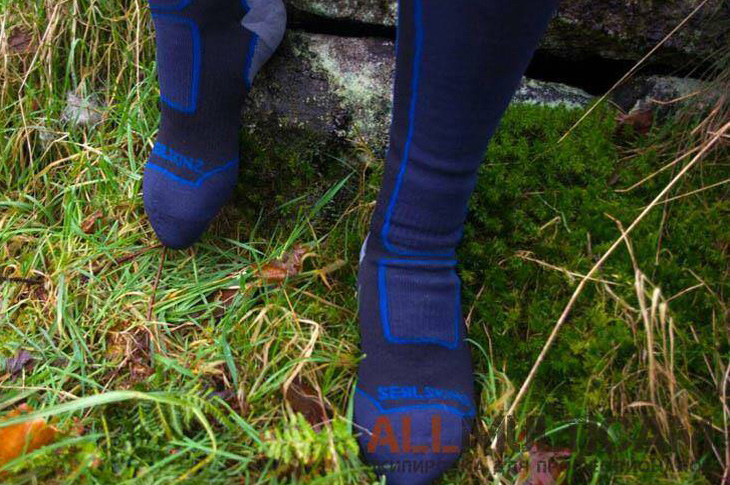 Носки Sealskinz Knee Length