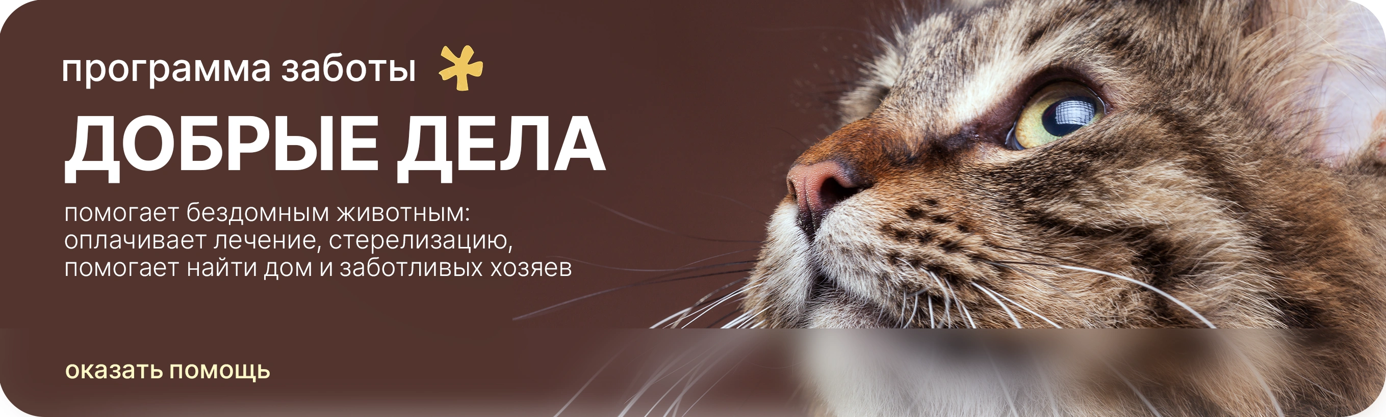 Вместе мы сильнее — благотворительная акция Cosmolex