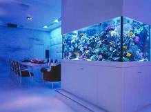 Особенности морских аквариумов