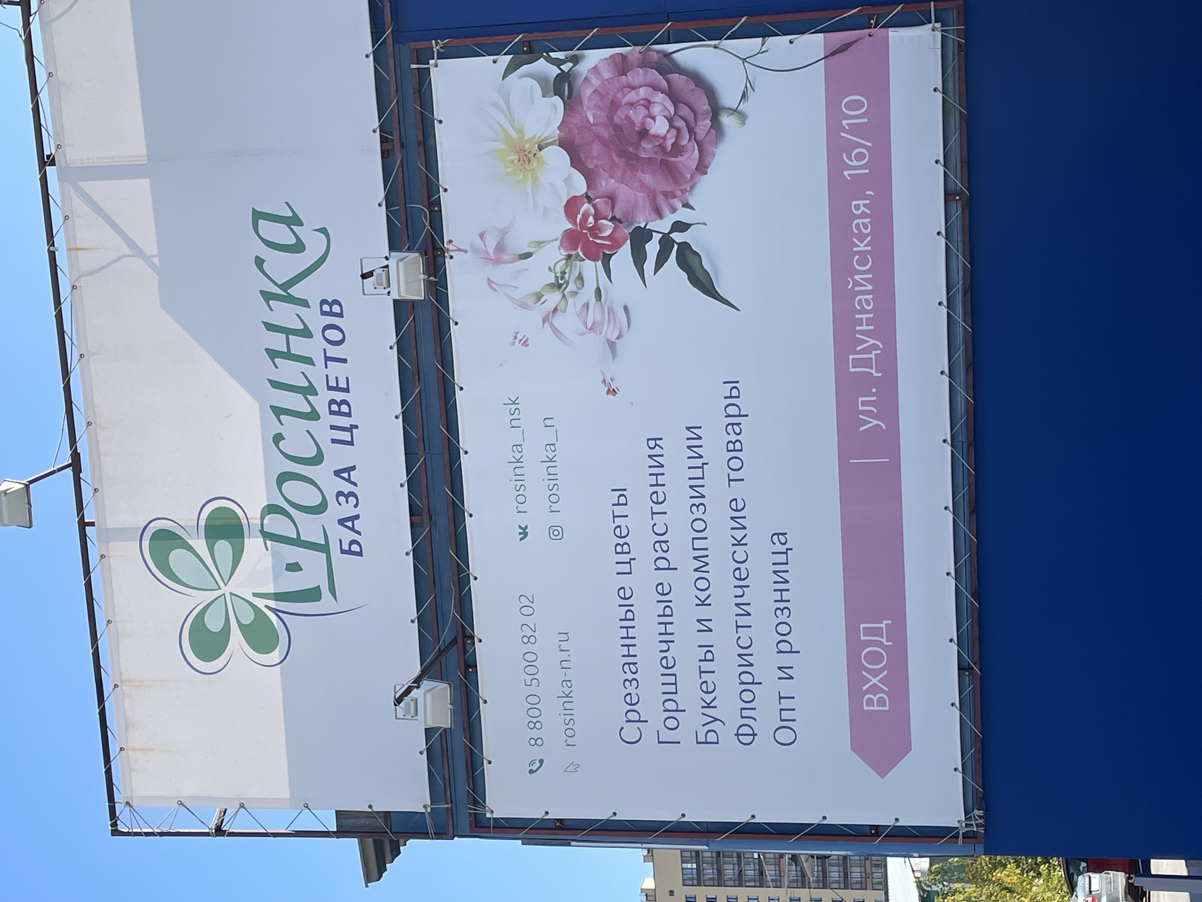 IMG_1781 IMG_1781.jpeg