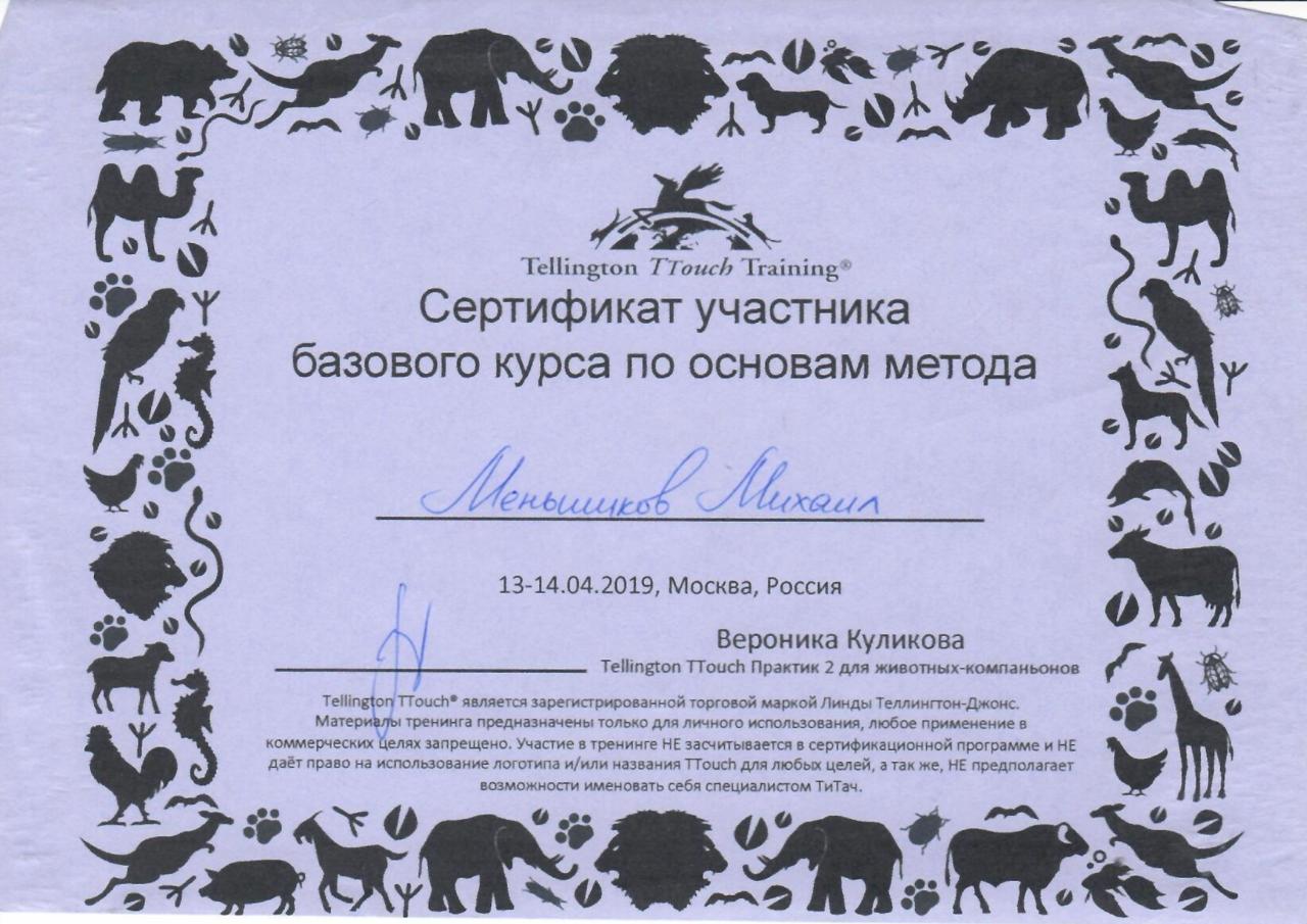 Миша Базовый курс Миша Базовый курс.jpg