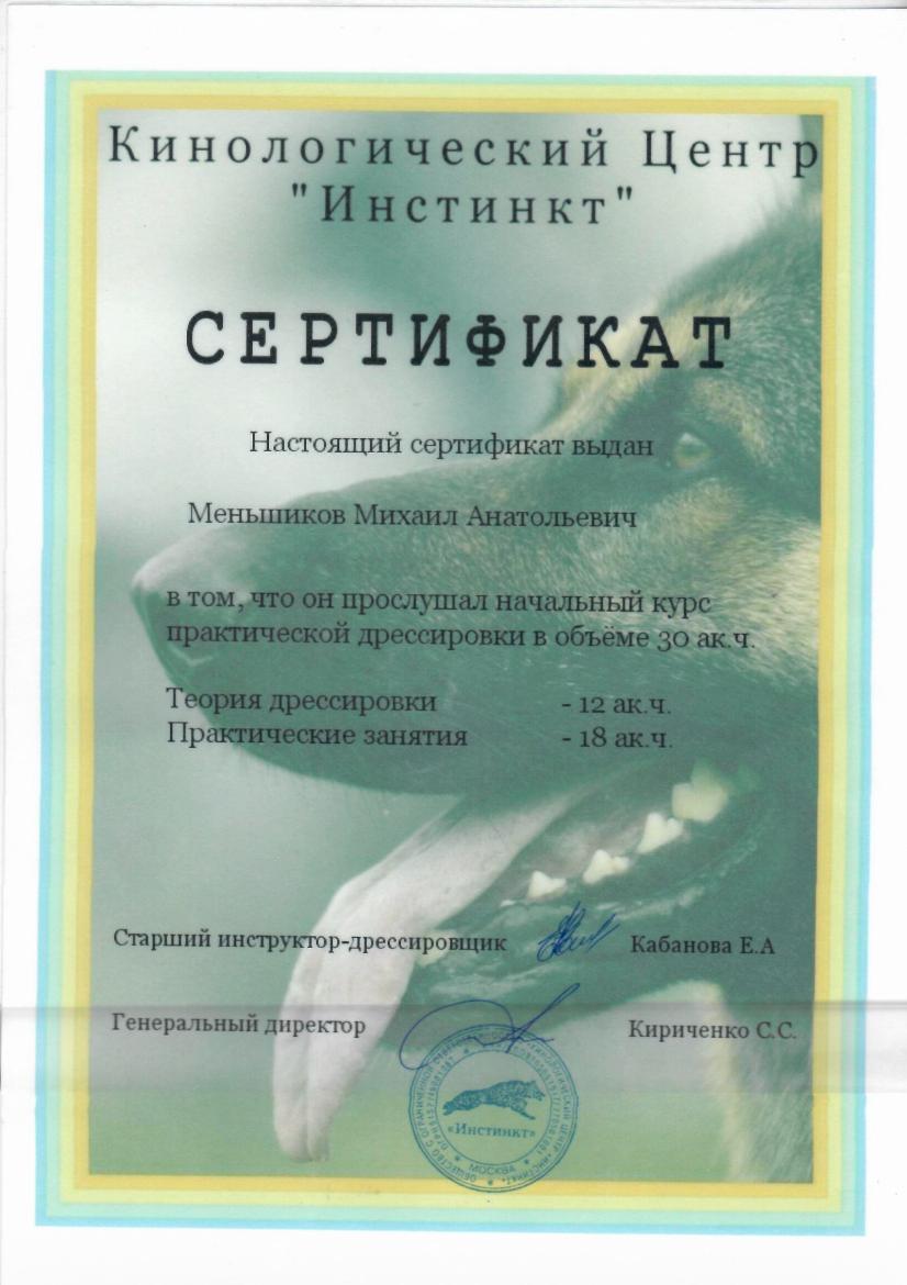 Миша Инстинкт Миша Инстинкт.jpg
