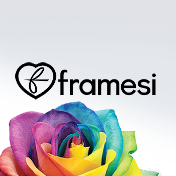 Купить Framesi Morphosis с доставкой по России
