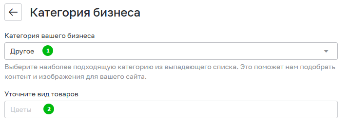 Поле с указанием своей категории бизнеса